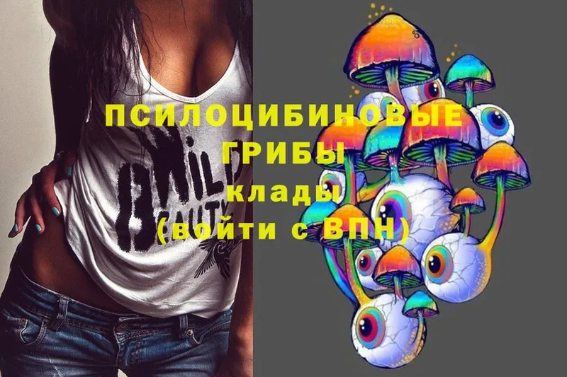 Галлюциногенные грибы MAGIC MUSHROOMS  Всеволожск 